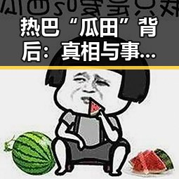 热巴“瓜田”背后：真相与事实的客观剖析